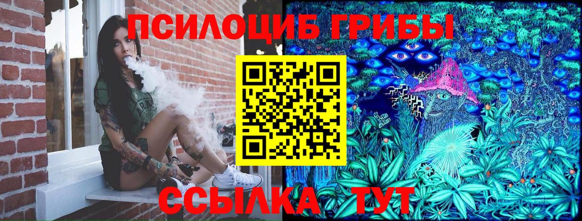 Галлюциногенные грибы ЛСД Курган