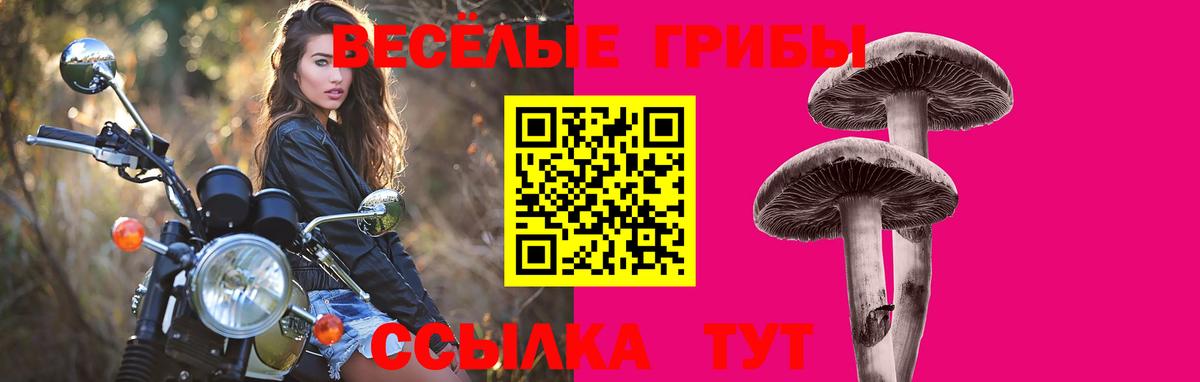 Курган  Галлюциногенные грибы Magic Shrooms  Галлюциногенные грибы мицелий  Вход с VPN 